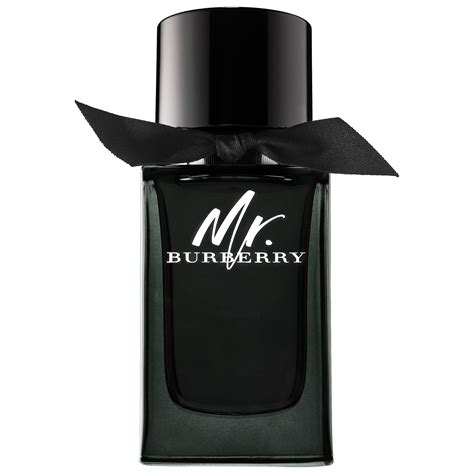 mr burberry parfum fragrantica|mr Burberry perfume 50ml.